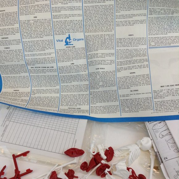 Human Body Science Kit from Educational Insights Kit #EI-2525 Teaching Tool - Picture 7 of 14